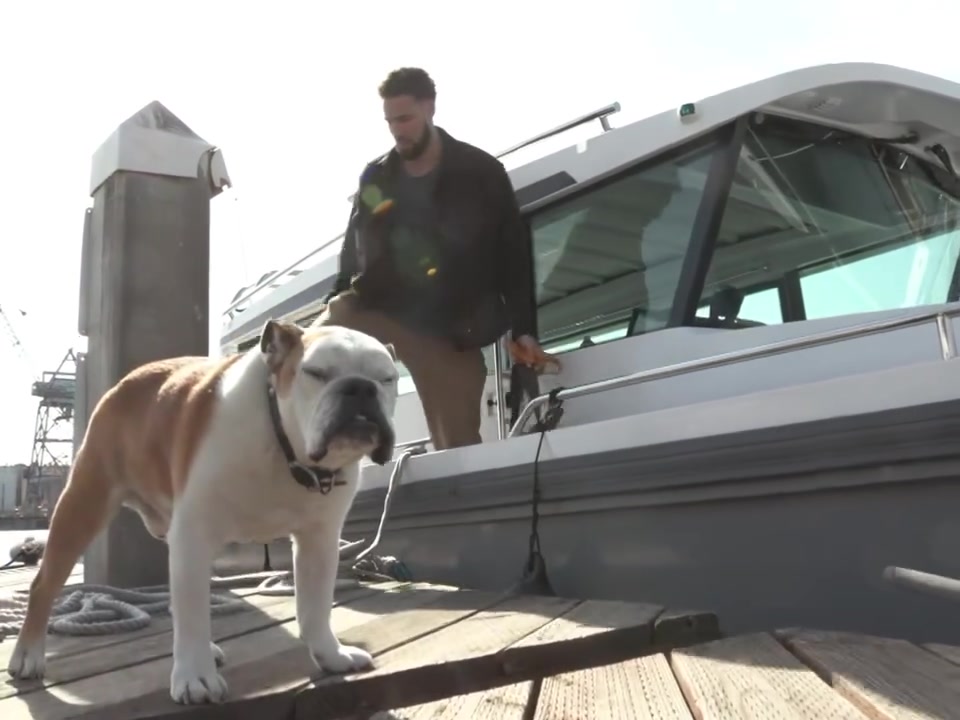 ?克莱深情告别Rocco：一只伟大的王朝狗狗~我会万分想念你